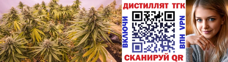 ТГК THC oil  сколько стоит  Пикалёво 