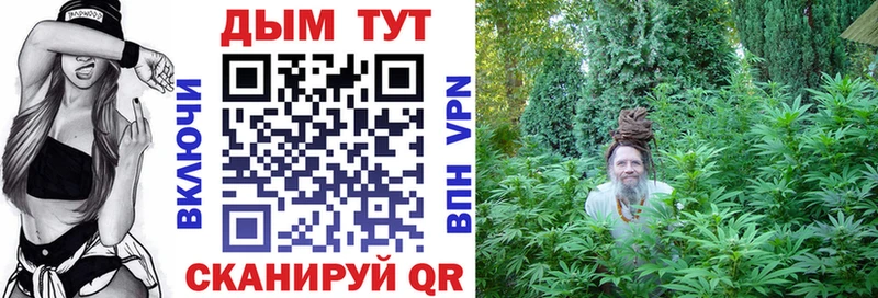 Канабис конопля  гидра tor  Пикалёво 